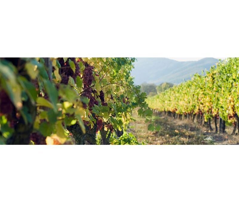 Domaine Karcher et Fils