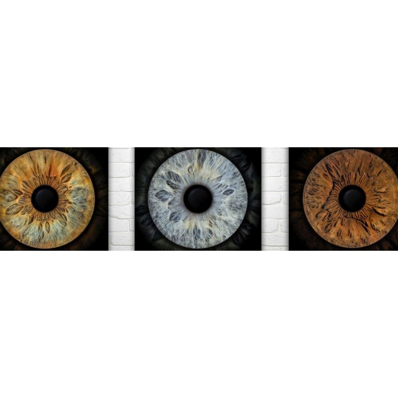 Foto Fabrik à Colmar