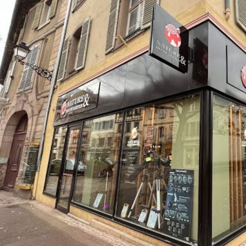 Nature et découvertes à Colmar